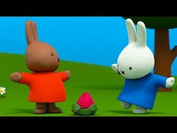 What is this flower? | Miffy | Cartoons for kids
