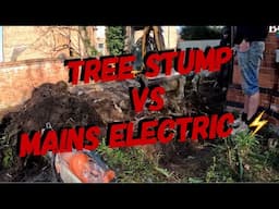 Why do they put trees near mains cables? #140