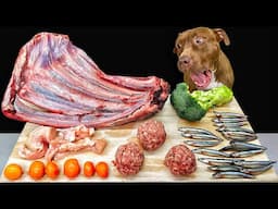 Crunch Munch Repeat!Puppy Devours Deer Rib with Adorable ASMR Sounds