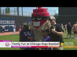 Family Fun At Chicago Dogs Baseball
