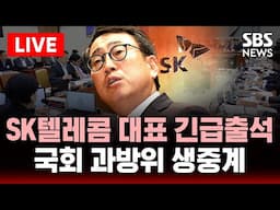 🔴LIVE 국회 과방위 - '유심해킹 질의' 유영상 SK텔레콤 대표 증인 출석 | SBS 실시간 라이브
