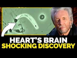 Your Heart Has Its Own Brain—And Science Now Confirms It | Gregg Braden