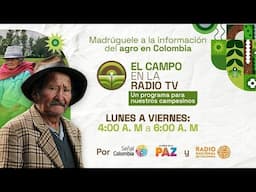 El Campo en la Radio TV