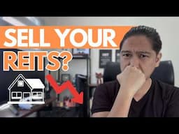 REITs: What to Do After You Invest? Tips for Beginners!
