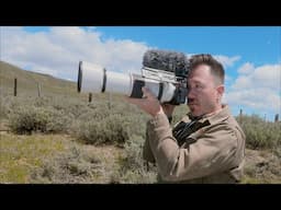 Solo Camping and Relaxing Wildlife Photagraphy