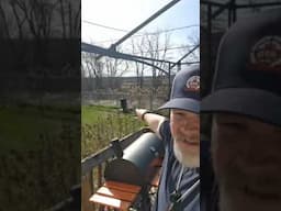 SHOT OF THE WEEK. 18M SQUIRREL BALL SHOT