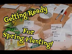 Test Your Old Seeds to Have Success in your Garden