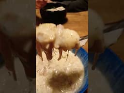 Chicken and Dumplings Southern style in a Instat Pot#southerncooking #food #chicken #dumplings #soup