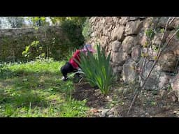 Cleaning Our Garden With A Beautiful Day/Gardenlover/Naturelover/South Of France/Vicinity
