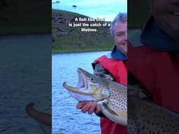 Why do the trout & salmon grow so big in Twin Crater Lakes?