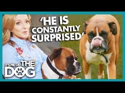 Gabby Logan Joked About Her Dog's Lack of Awareness