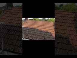 One Odd Tile on This Amazing Roof Cleaning Transformation