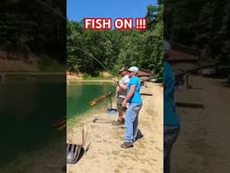 FISH ON !!! Nice bluecat #fishing #catfish #fish #cats #kentucky