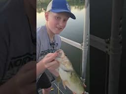 I think he has caught bigger ones...🤣 big bass released! #bass #fishing #shorts #subscribe