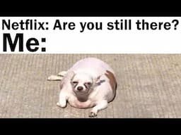 Daily Juicy Memes 2147