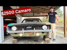Backyard GOLD: 1969 Camaro Project Cars For under $10,000
