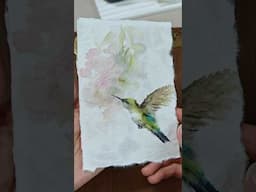 Watercolor Hummingbird on HanJi Paper #watercolortutorial #watercolor