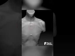 Only a few hours left of the Winter Sale ❄️ Get 30% off Fundamental Anatomy for Sculptors