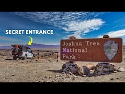 This Overland Loop of Joshua Tree National Park is INCREDIBLE