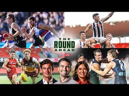 The bear you don't poke, how Pies can exploit Cats | The Round Ahead