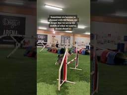 Are you living your past dreams? #dogagility #agility #dog #bordercollie #agilitytraining