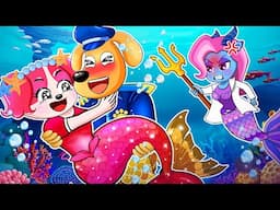Antel Can’t Hide His Jealousy Over Labrador’s Love for Papillon  | Labrador Paper Animation