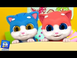 🔴LIVE🔴  Lima Anak Kucing Kecil Musik Yang Menyenangkan + Sajak Populer Untuk Anak-Anak