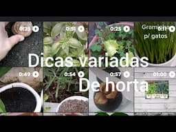 Morria e não SABIA, Dicas diversas de horta, Compartilhe