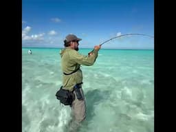 This fish fights WAY outside its weight class #flyfishing #fishing #saltwaterflyfishing