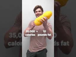 How To Lose Your Belly Rolls