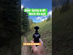 Montana springtime walk. ￼