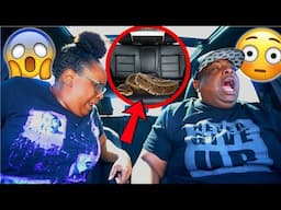 Buying A GIANT SNAKE And LOSING IT In THE CAR!! *SHE LOST IT*