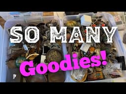 Inspecting Lot of Antique Jewelry and Collectibles