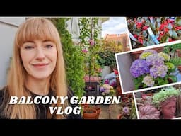Balcony Gardening Vlog: Summer Potting and New Plants