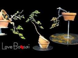 great bonsai bending skills ▶2