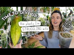 Really DIFFICULT Plants 😭 I'm Struggling With These Houseplants