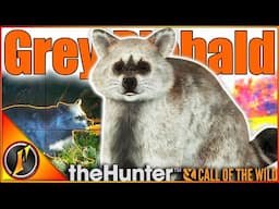 Our FIRST EVER PIEBALD Raccoon! They Look Amazing! | theHunter Call of the Wild