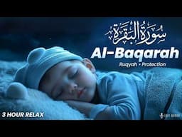 Surah Baqarah Full سورة البقره | ULTRA PROTECTION DAILY | Surah Al Baqarah | Lofi Quran