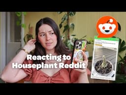 HOUSEPLANT REDDIT | dead plants, beautiful plants, and the ultimate spidermite takeover