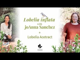 Lobelia inflata with joAnna Sanchez + Lobelia Acetract