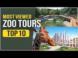 Top 10 Most Viewed Planet Zoo Tours of All Time | 10+ Hours of Relaxing Inspiration