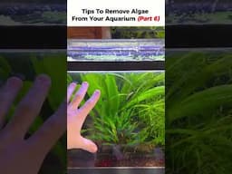 Cheap Lights = More Algae