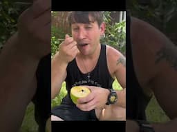 Unlock HUGE Pawpaw Harvests: Plant It HERE! (PRO Tips) 🌳✨