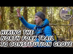 Hiking The North Fork Trail to Constitution Grove | Oakridge/Westfir Oregon