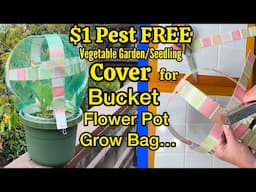 How to Make a Pest Free Container Garden Cover to Protect Plants in a Bucket, Grow Bag & Flower Pot