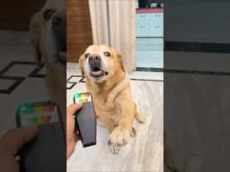 Ghost detector machine😰 #shorts | Anant Rastogi