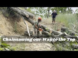 Roads Blocked. Trees Down. Clearing the Way