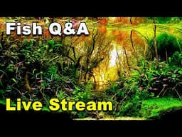 [LIVE]  FIsh Q&A and a Give Away!