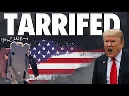 Crashed My DJI Drone - Now What? USA TARIFF