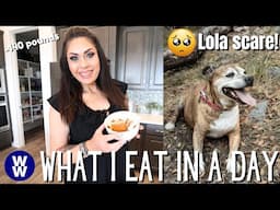 WHAT I EAT IN A DAY ON WW TO LOSE 140 POUNDS - NEW PROTEIN SNACK - LOLA SCARE😢 - WEIGHT WATCHERS!